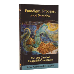 HAGGADA PARADIGM PROCESS AND PARADOX
